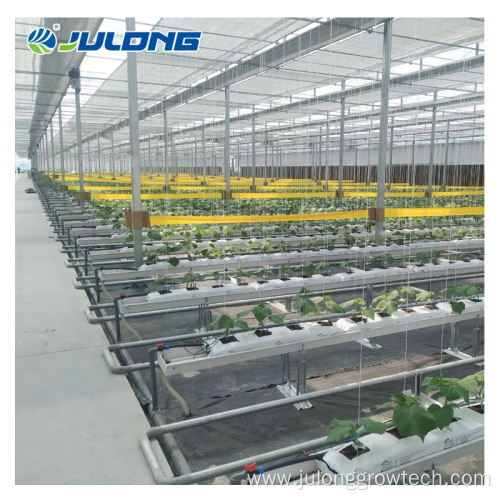 NFT Hydroponic Channel Hydroponic Greenhouse Equipment